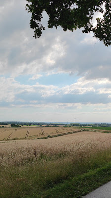 Selent GmbH - Garten und Landschaftsbau