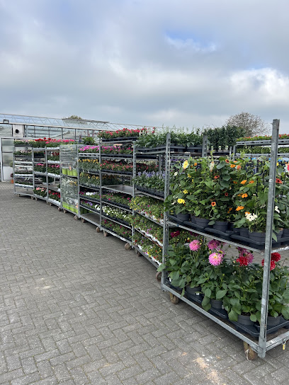 Blumengeschäft