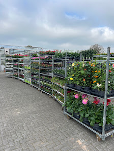 Blumen Jansen GbR
