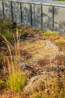 Wershofen Gartenbau GmbH & Co. KG