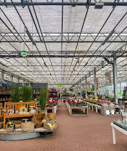Blumen Risse Gartencenter Kerpen