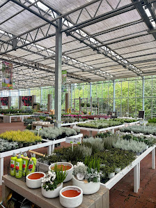 Blumen Risse Gartencenter Kerpen