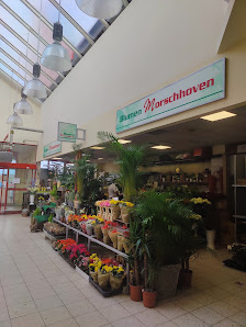 Blumen Morschhoven