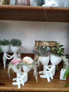 Blumen Creativ Bogumila Drosz