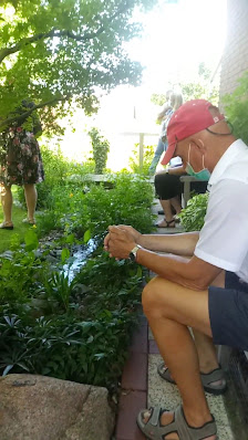 Staudengarten Adelt