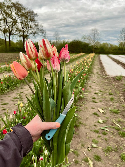 Blumengeschäft