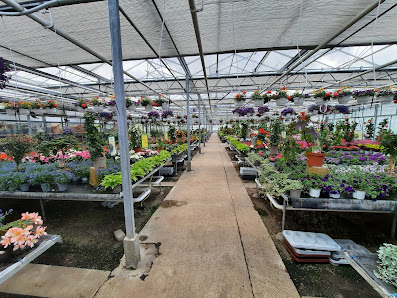 Blumen Klemke
