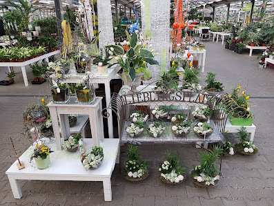 Blumen Risse Gartencenter Soest