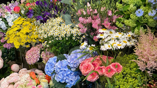 Annika's Blumenfreude