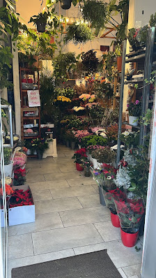 Kölner Blumen