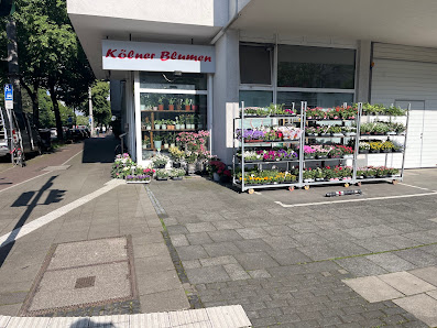 Kölner Blumen