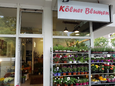 Kölner Blumen