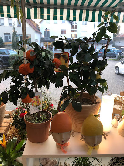 Blumen Fuß