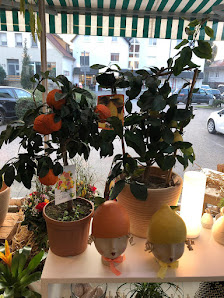 Blumen Fuß
