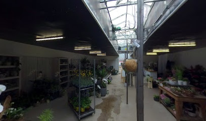 Helmut Koenen Blumen- und Gartenparadies