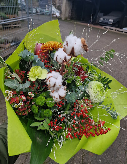 Damitz GbR Gartengestaltung u. Baumschule