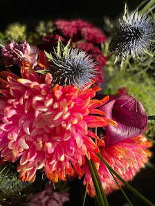 Blumen Biesemeier