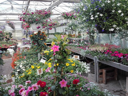 Blumen Schäpsmeier