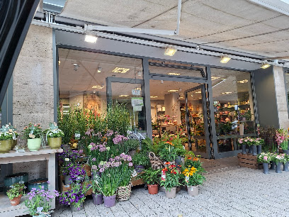 Blumen Risse Blumenladen Schwerte