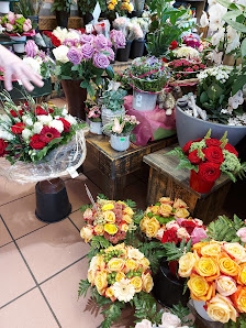 Piet Meinen Blumenshop (van der Lem GmbH)