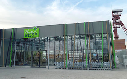 Blumen Risse Blumenmarkt Hückelhoven