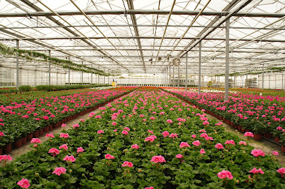 Gartenbaubetrieb Dirk u. Frank Zillekens GbR
