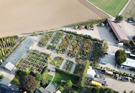 Hallen Baumschulen GmbH