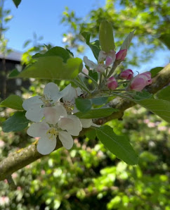 OBI Gartencenter Hückelhoven