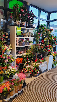 Blumen Schliebeck