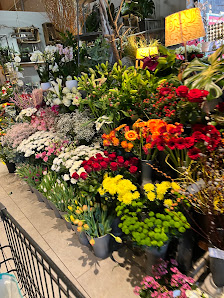 Blumen Schliebeck
