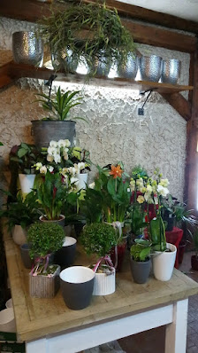 Blumen Krimp Inhaber Andreas Steins