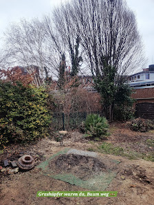Gartenpflege Grashüpfer