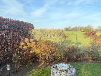 Gartenpflege Grashüpfer