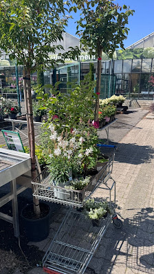 Pflanzenhof Plum