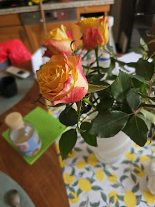 Rosen Lenzen