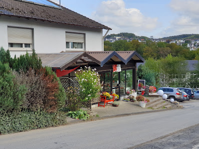 Blumenträume Barbara Scholze