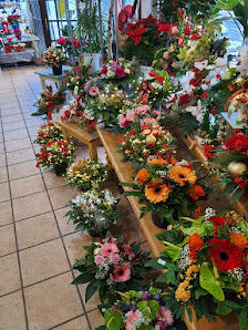 Blumenhaus Schulz