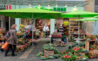 Blumen Risse Blumenladen Gummersbach