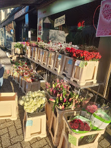 Schatzinsel Rosenshop