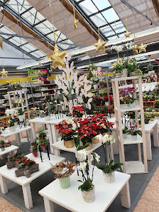Dehner Garten-Center