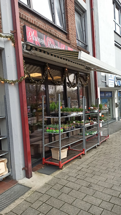 Blumen Rosengarten