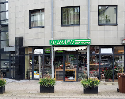 Blumen van Doorne