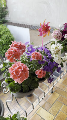 Außem & Außem GmbH - Blumen Außem