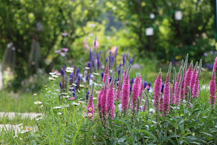BlaCh Blattwerk Gartenkonzept