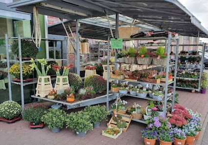 Blumenparadies Hasselt