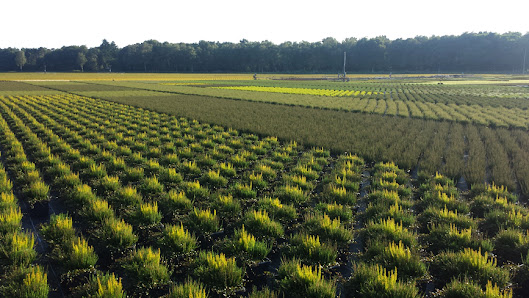 Dercks Gartenbau | Geldern