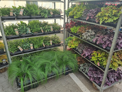 LIMERA Gartenbauservice GmbH & Co. KG