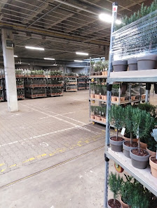 Landgard Blumen & Pflanzen GmbH
