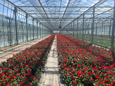 Gartenbau Thomas Matenaer