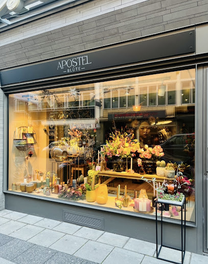 Apostelblüte